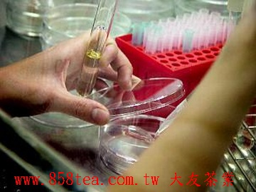 微生物培養實驗