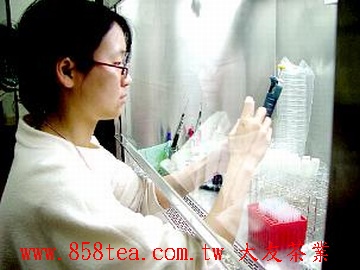 實驗室無菌台工作情形