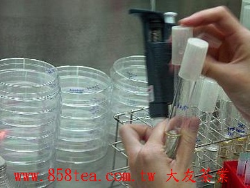 翠取茶樣微生物