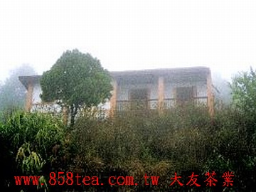 地靈人傑,中茶公司遺址