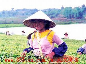 無所求的臉孔就是如此自然